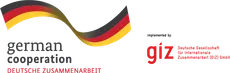 GIZ logo en 234w